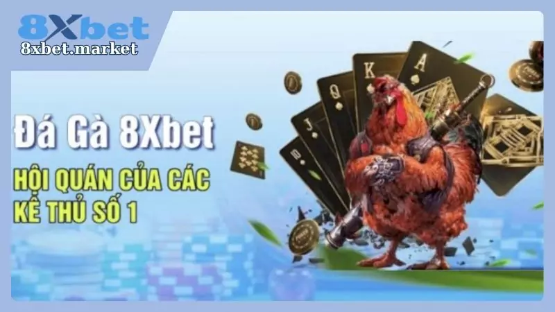 Một vài ưu điểm của hình thức chọi gà 8xbet