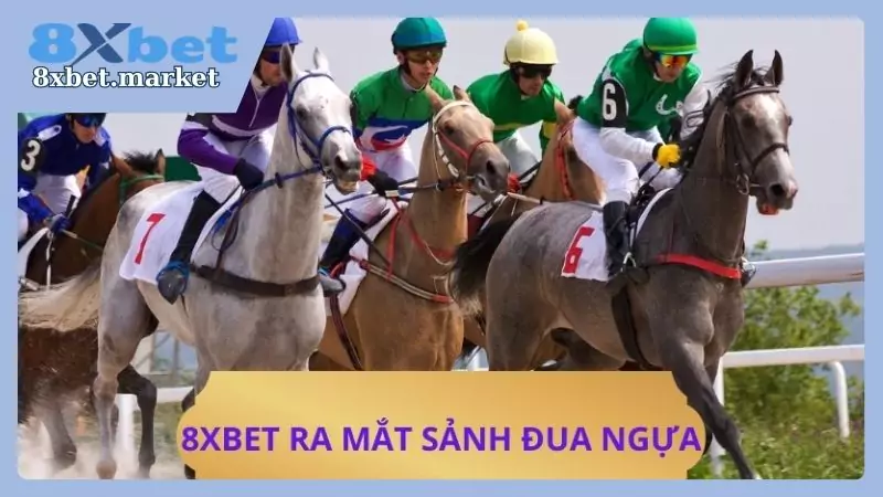 Luật và cách chơi đua ngựa tại 8xbet